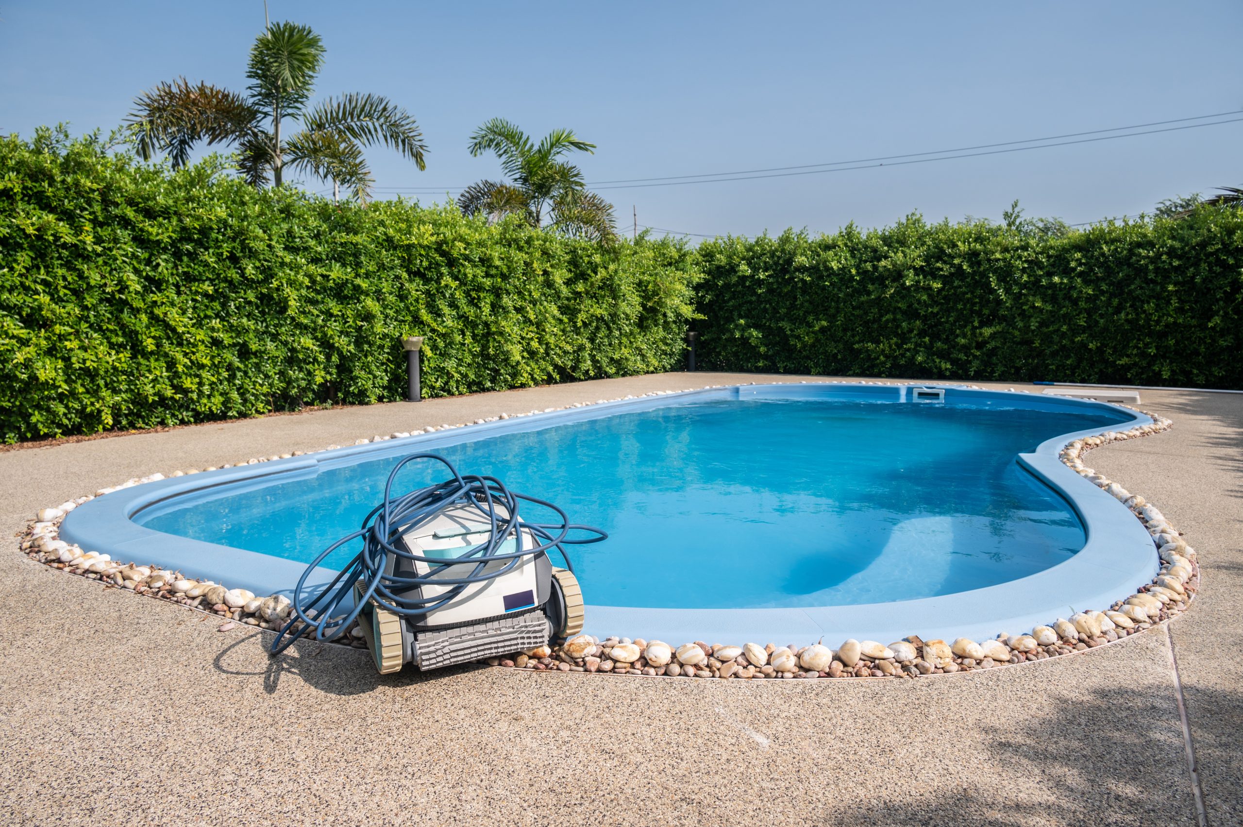 Pool Cleaner Backyard